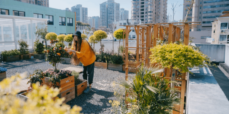 Benefits of Urban Gardening A Green Oasis in the City