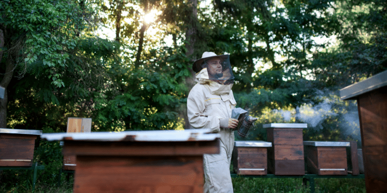 Urban Beekeeping A Surprising Trend in City Living