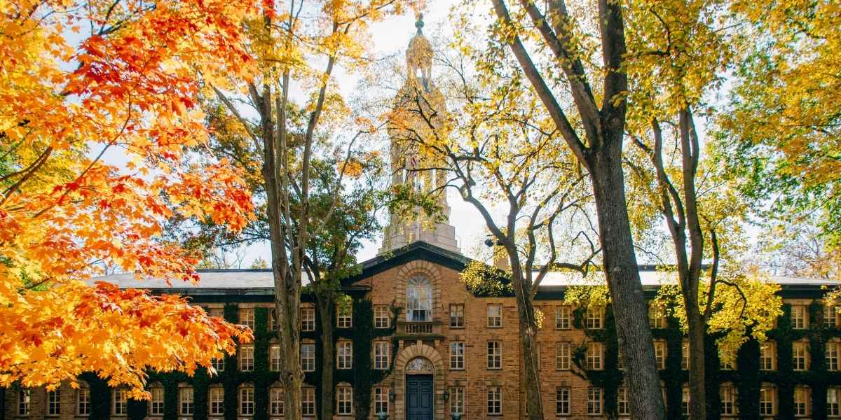 Ivy League Admissions: What You Need to Know