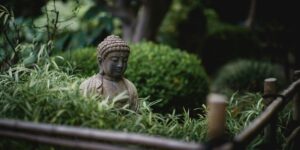 Discover the Powerful Connection Between Yoga and Inner Peace