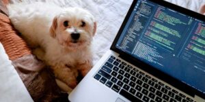 Boost Your Productivity: Staying Motivated While Working From Home