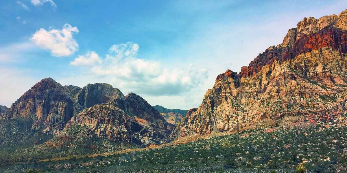 Mojave Desert Beauty: Life Thrives in Extreme Conditions